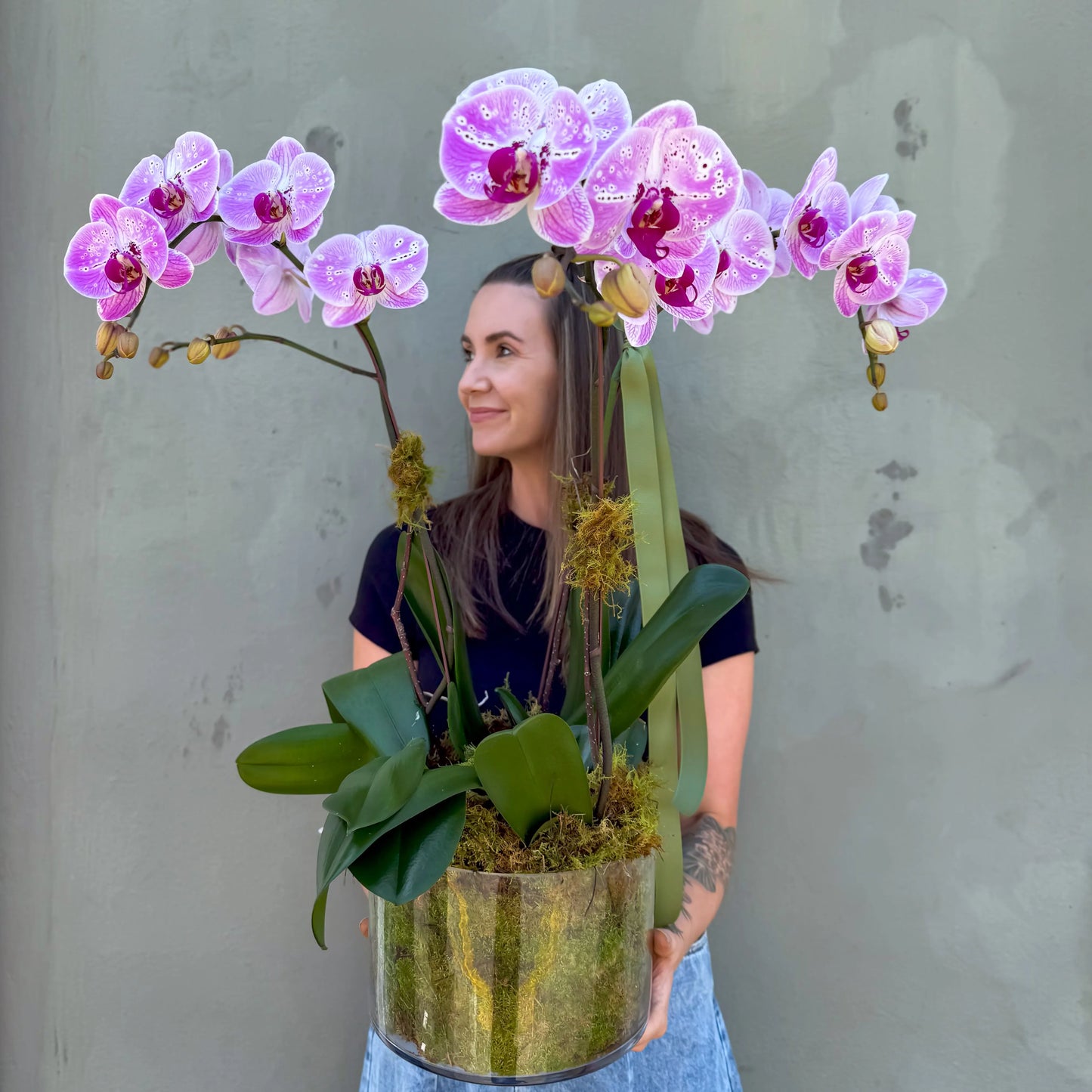 Divine Orchids in Glassware