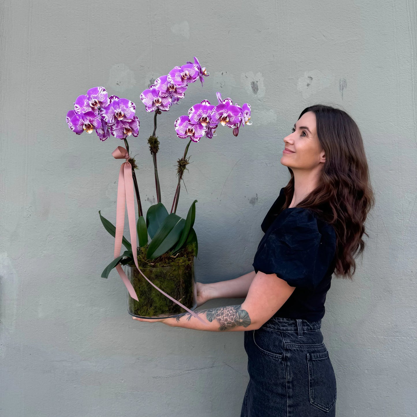 Divine Orchids in Glassware