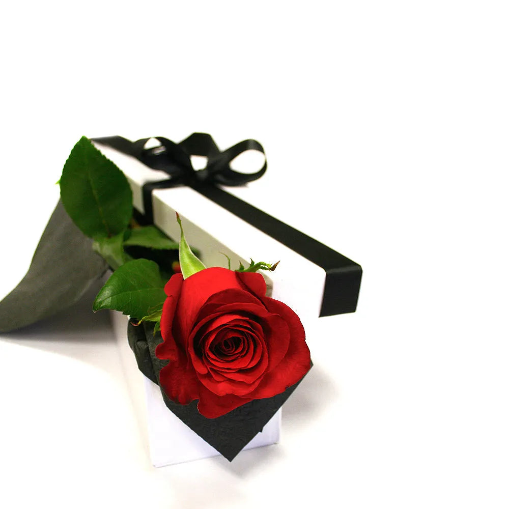 Single Rose