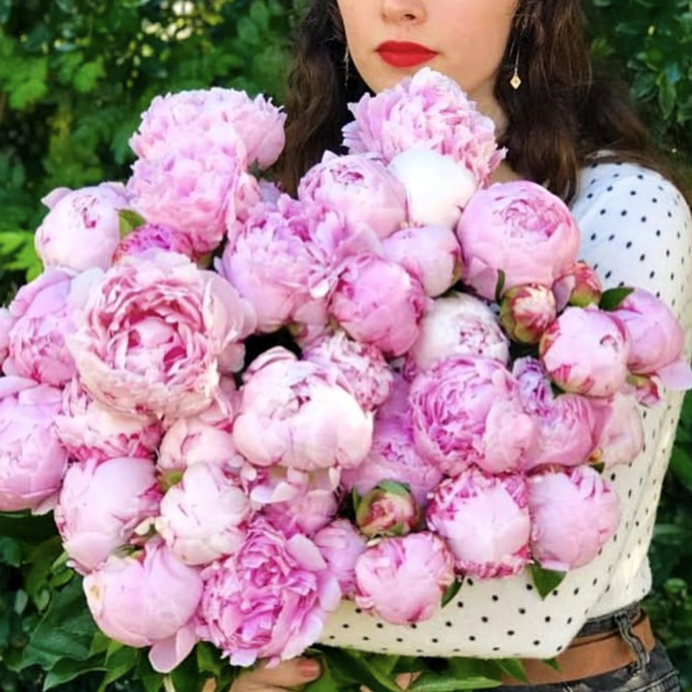 Market Fresh  Peonies