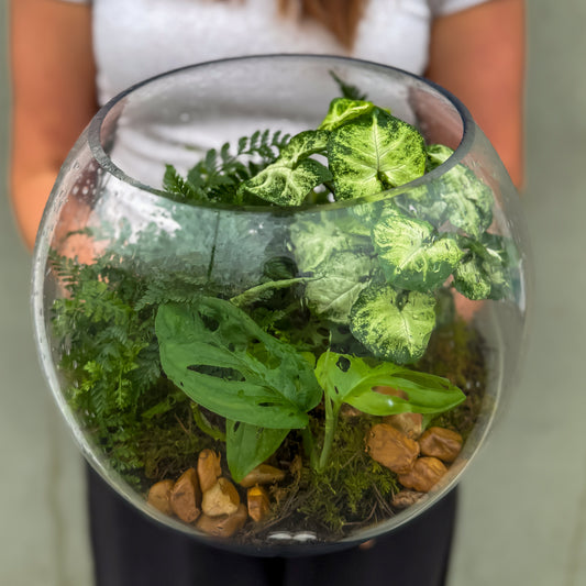 Terrarium