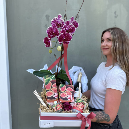 Orchid Celebration Luxe Hamper