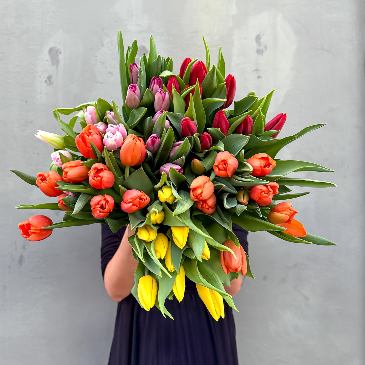 Divine Tulip Special