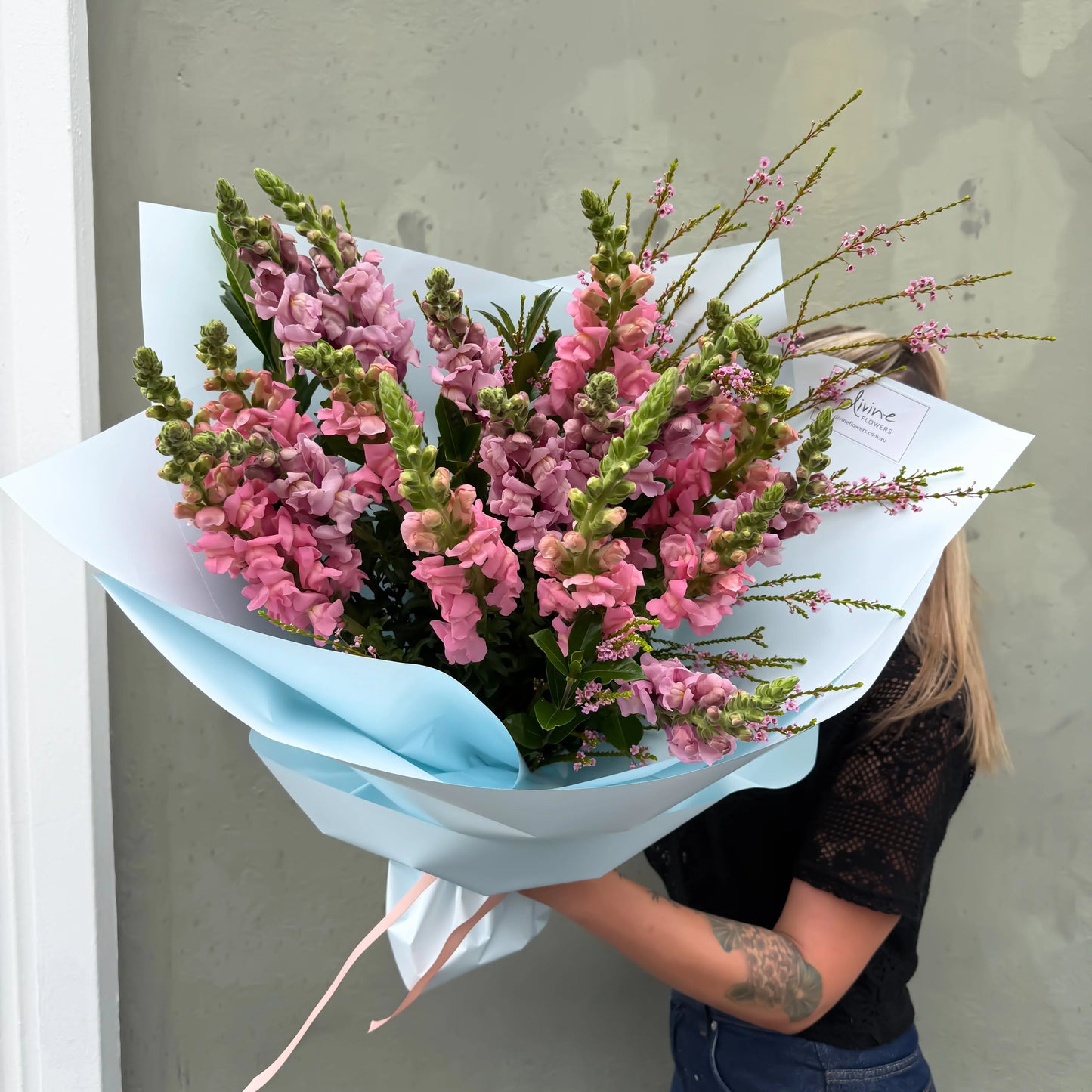 Snapdragons Market Special
