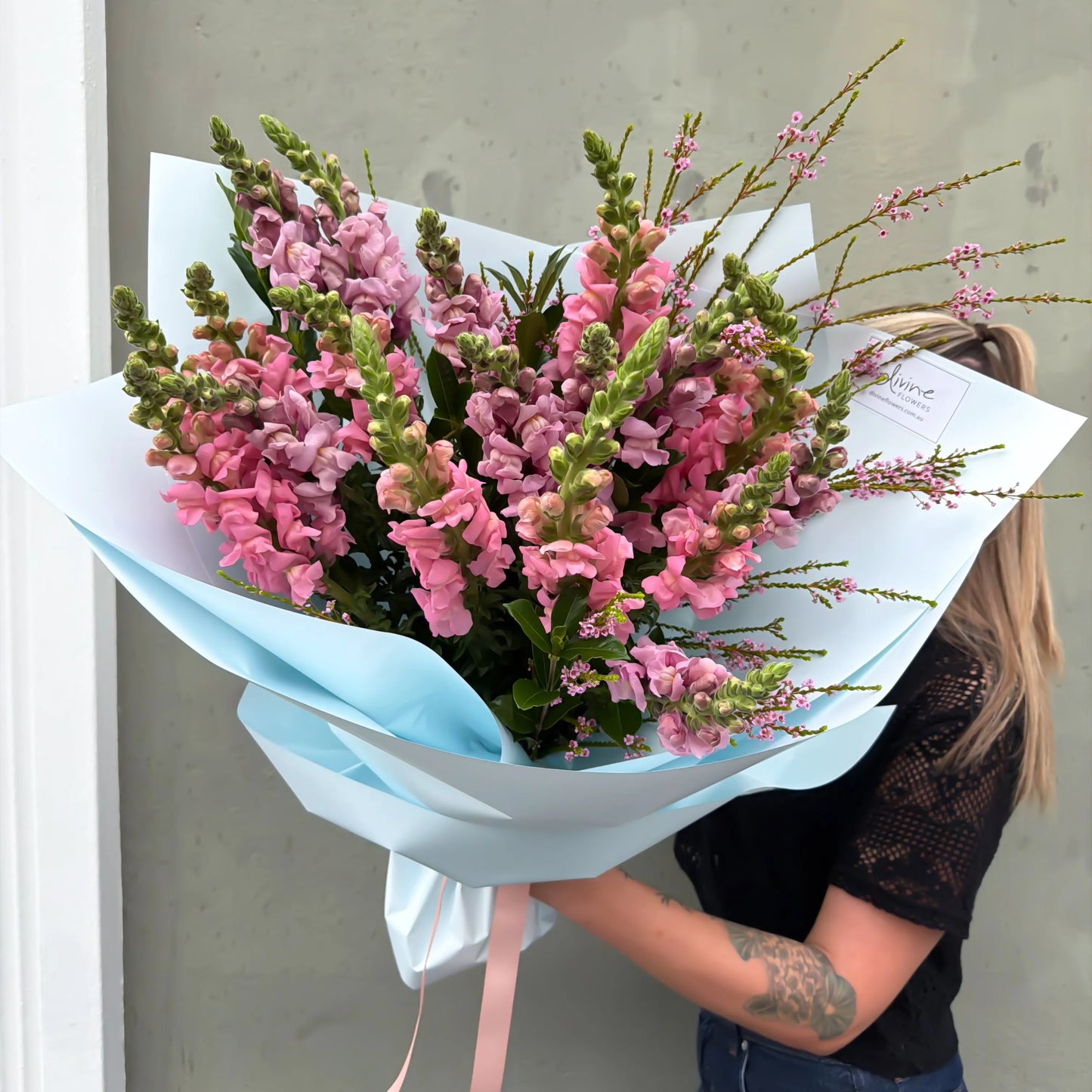 Snapdragons Market Special
